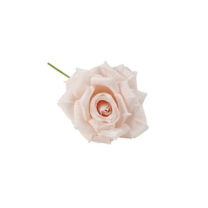 ROSA GRANDE 7CM CIPRIA
